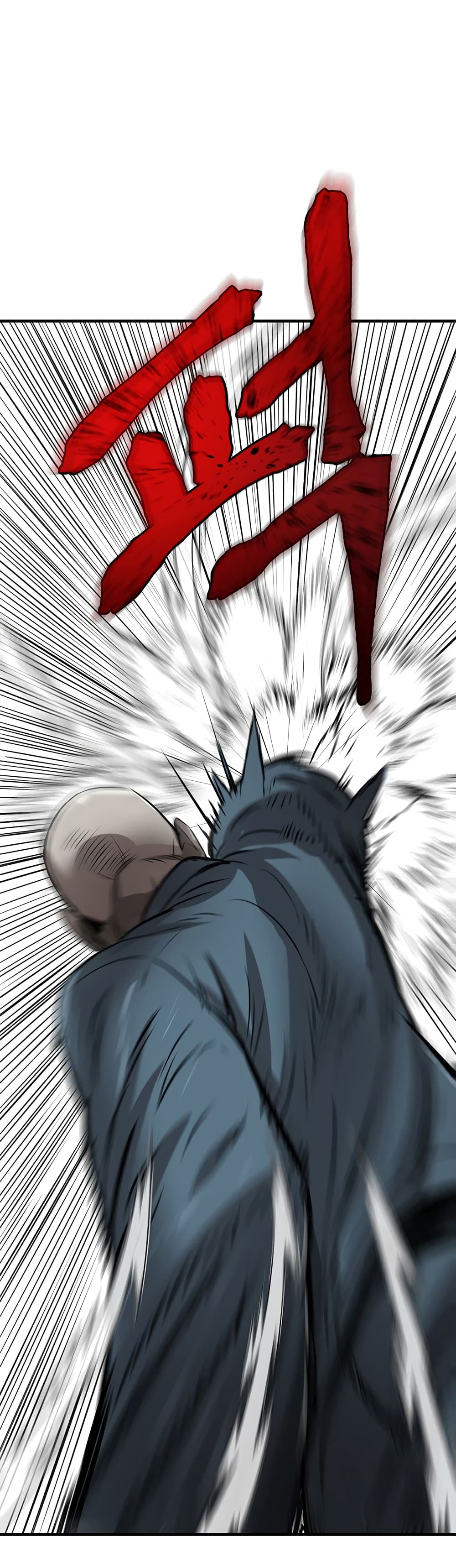 Mujin 2-2