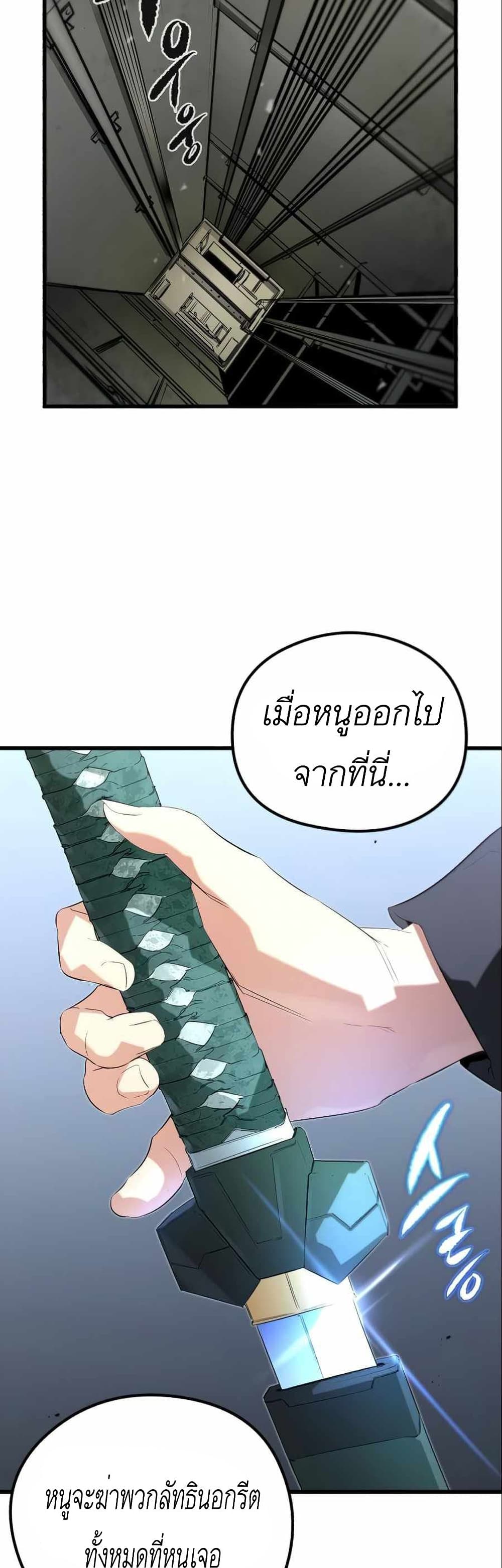 Phantom Spirit King 13-13