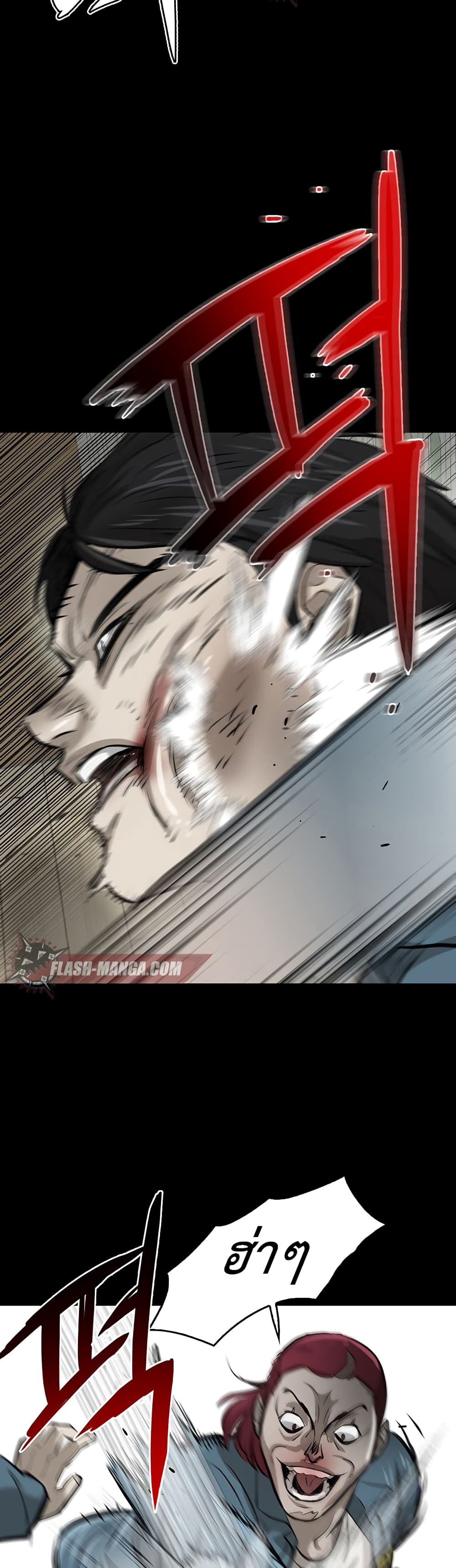 Mujin 2-2