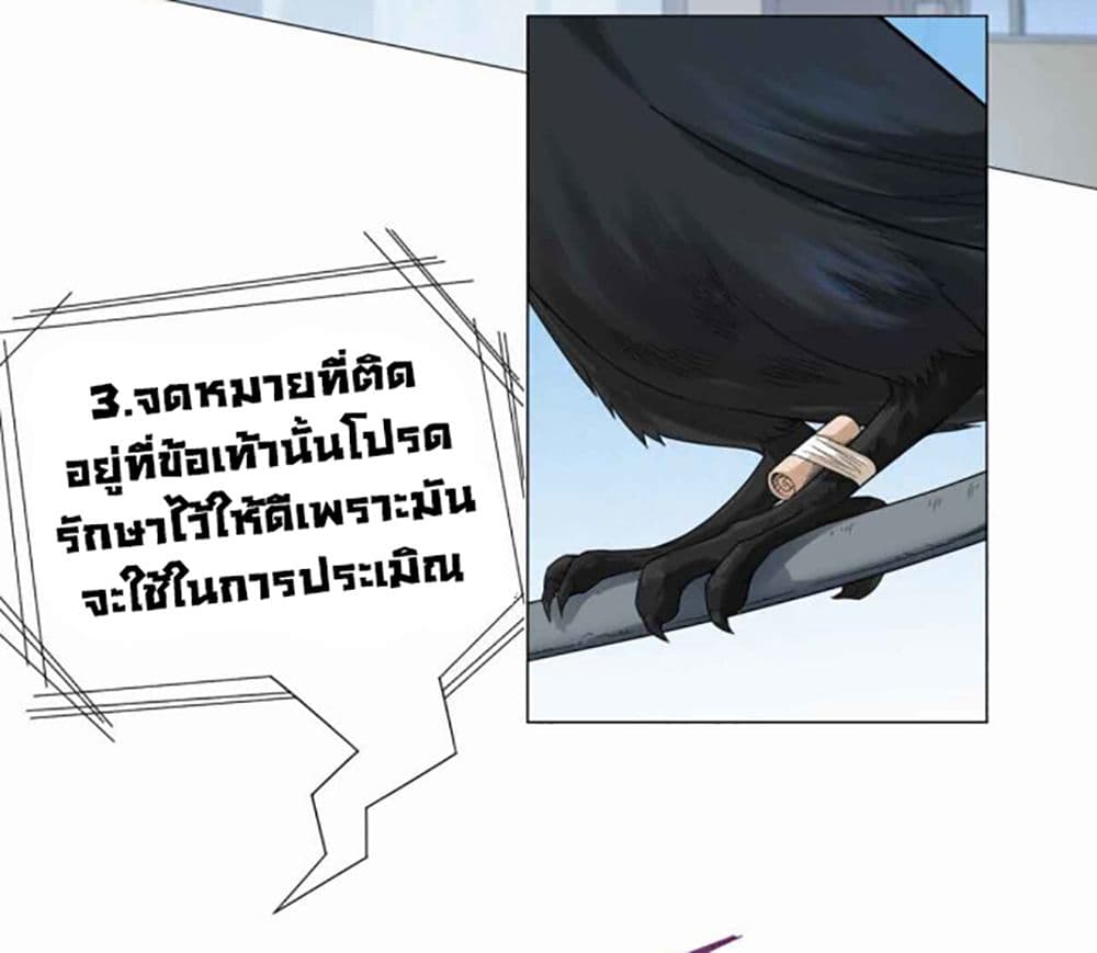 ULTIMATE SOLDIER 5-5