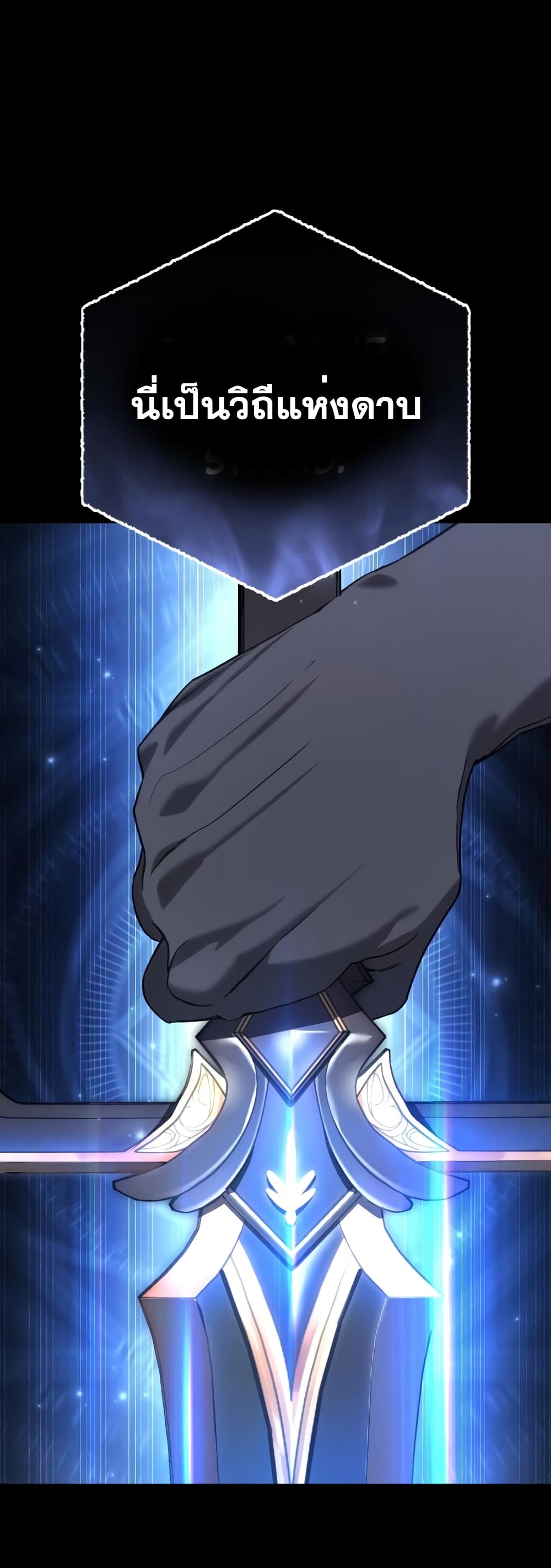 Star-Embracing Swordmaster 11-11
