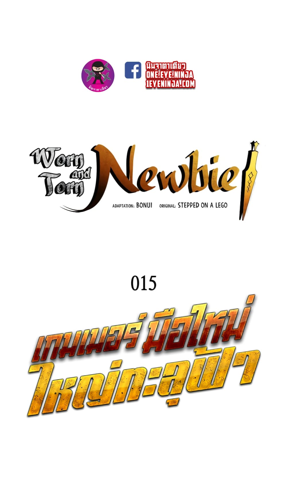 Worn and Torn Newbie 15-15