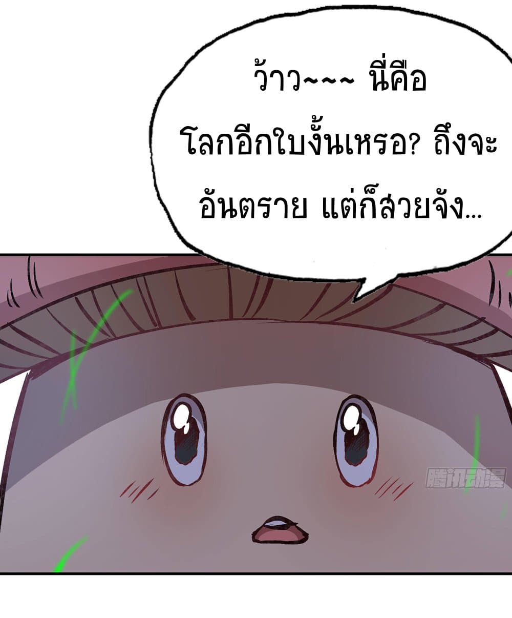 Mushroom Brave 13-13