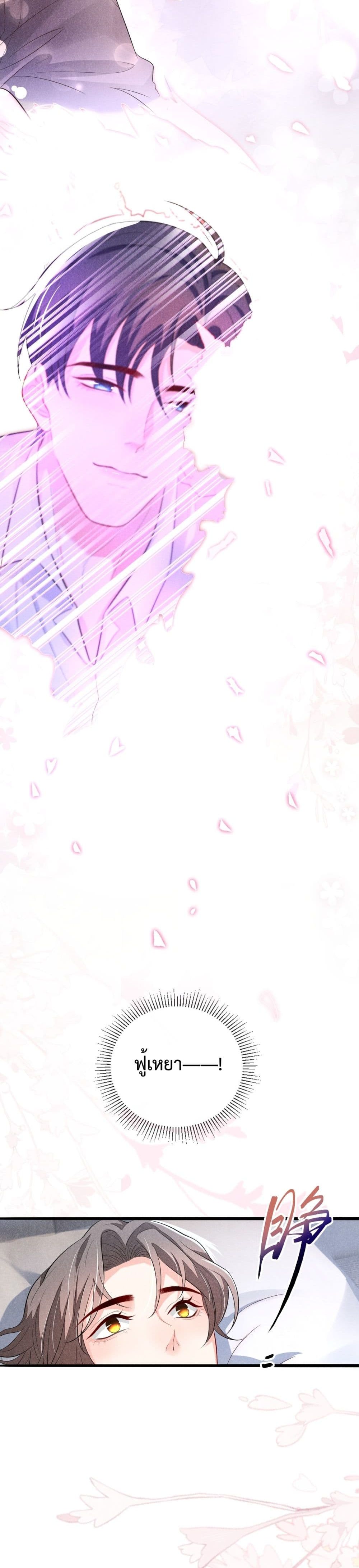 Fireworks เพลิงดอกไม้ 1-1