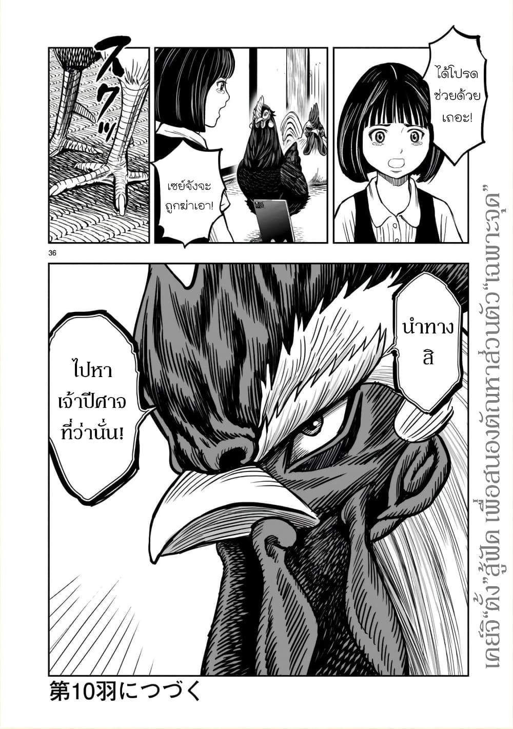 Rooster Fighter ป๋าโต้งชนยับ 9-หายใจดั่งไก่ป่า จับจ้องดั่งไก่เลี้ยง (กินแค่เพื่ออยู่ไปวันๆ)