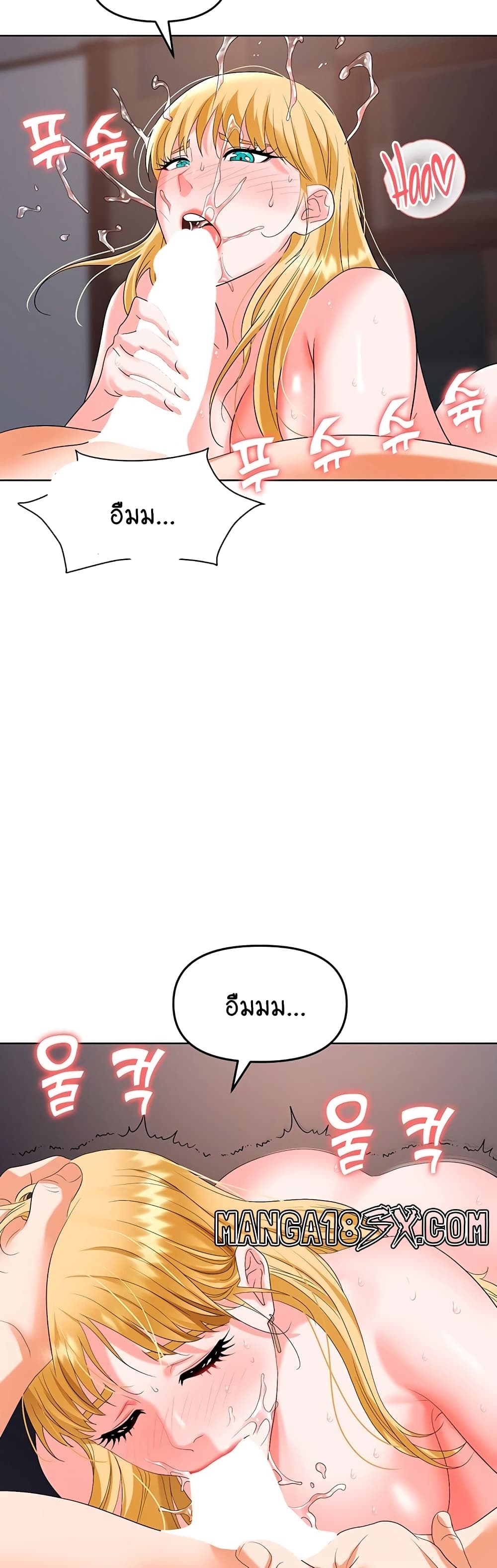 Trap 37-37