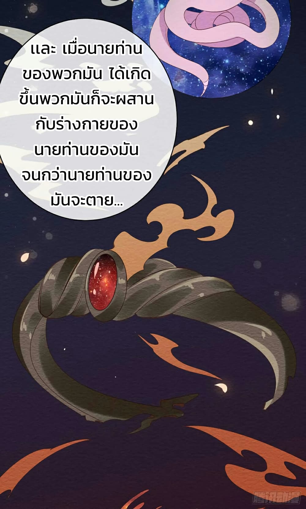 Genius Doctor: Black Belly Miss 34-34