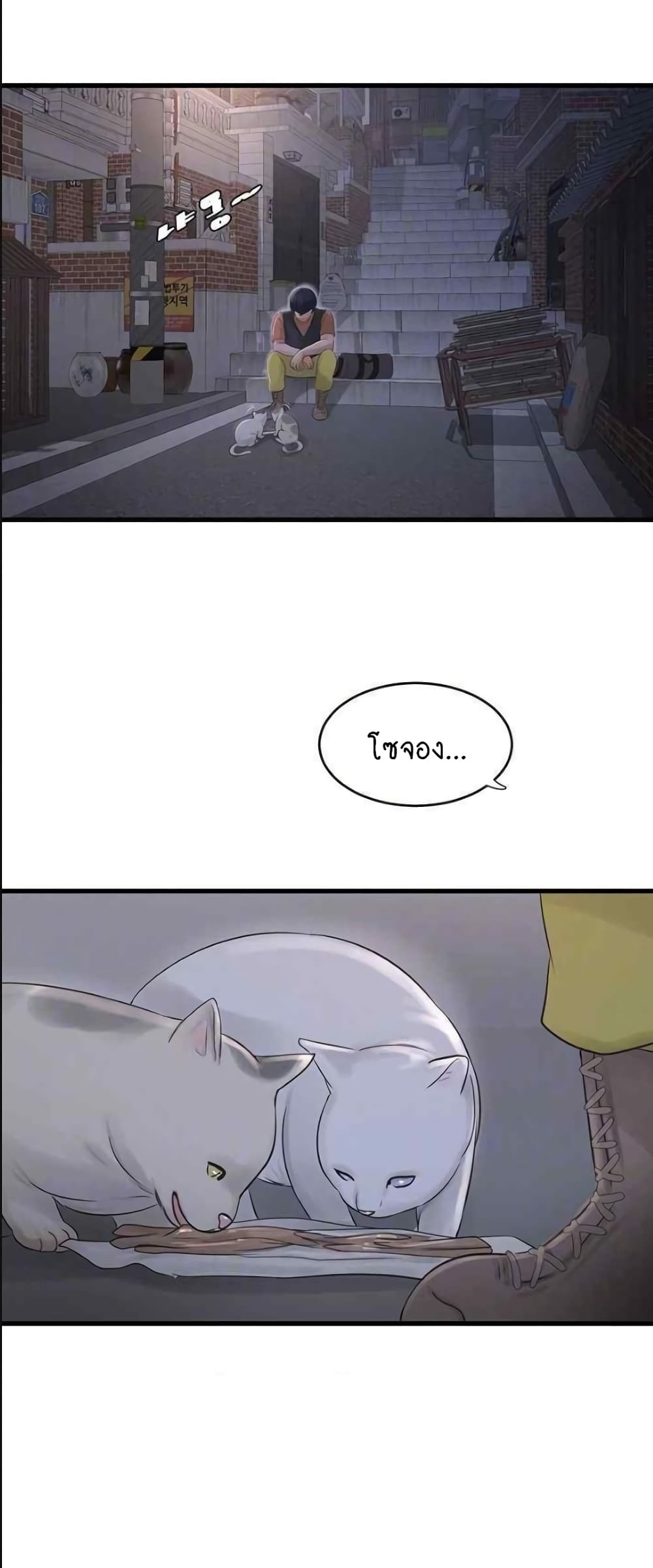 The Hole Diary 42-42