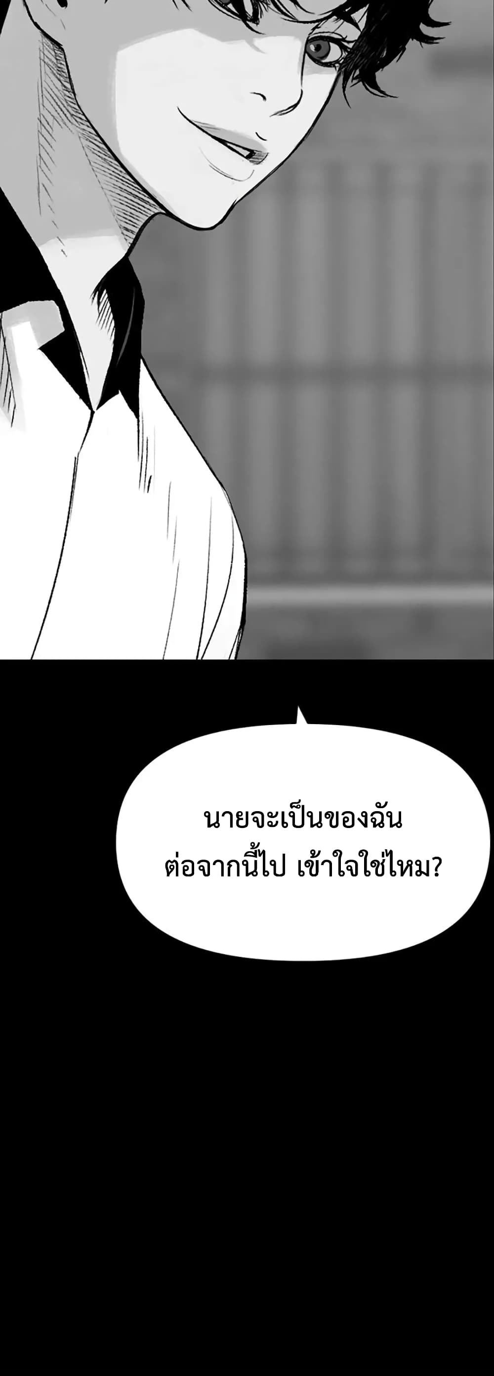 Switch 14-14