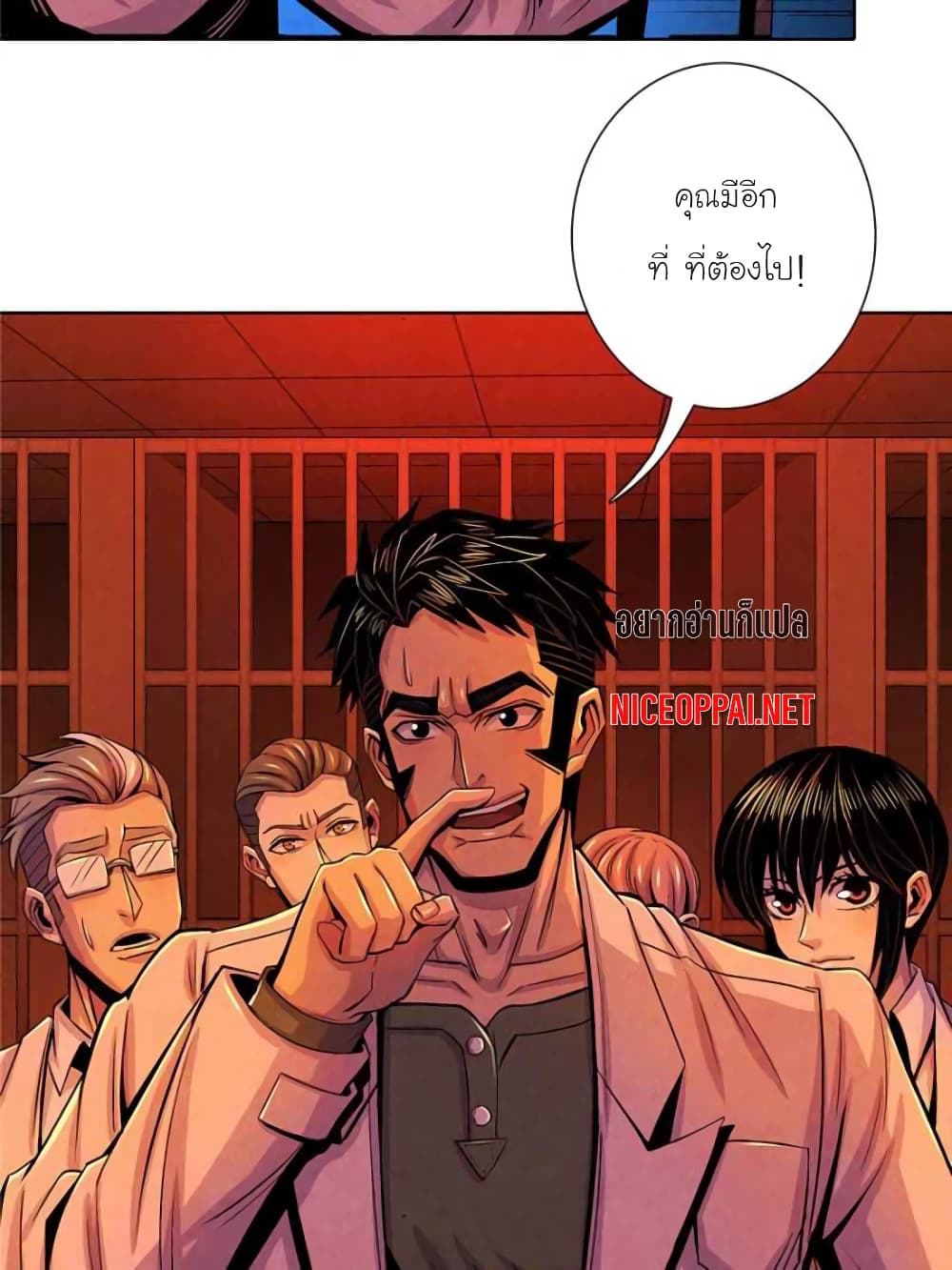 Dr.Don 31-31