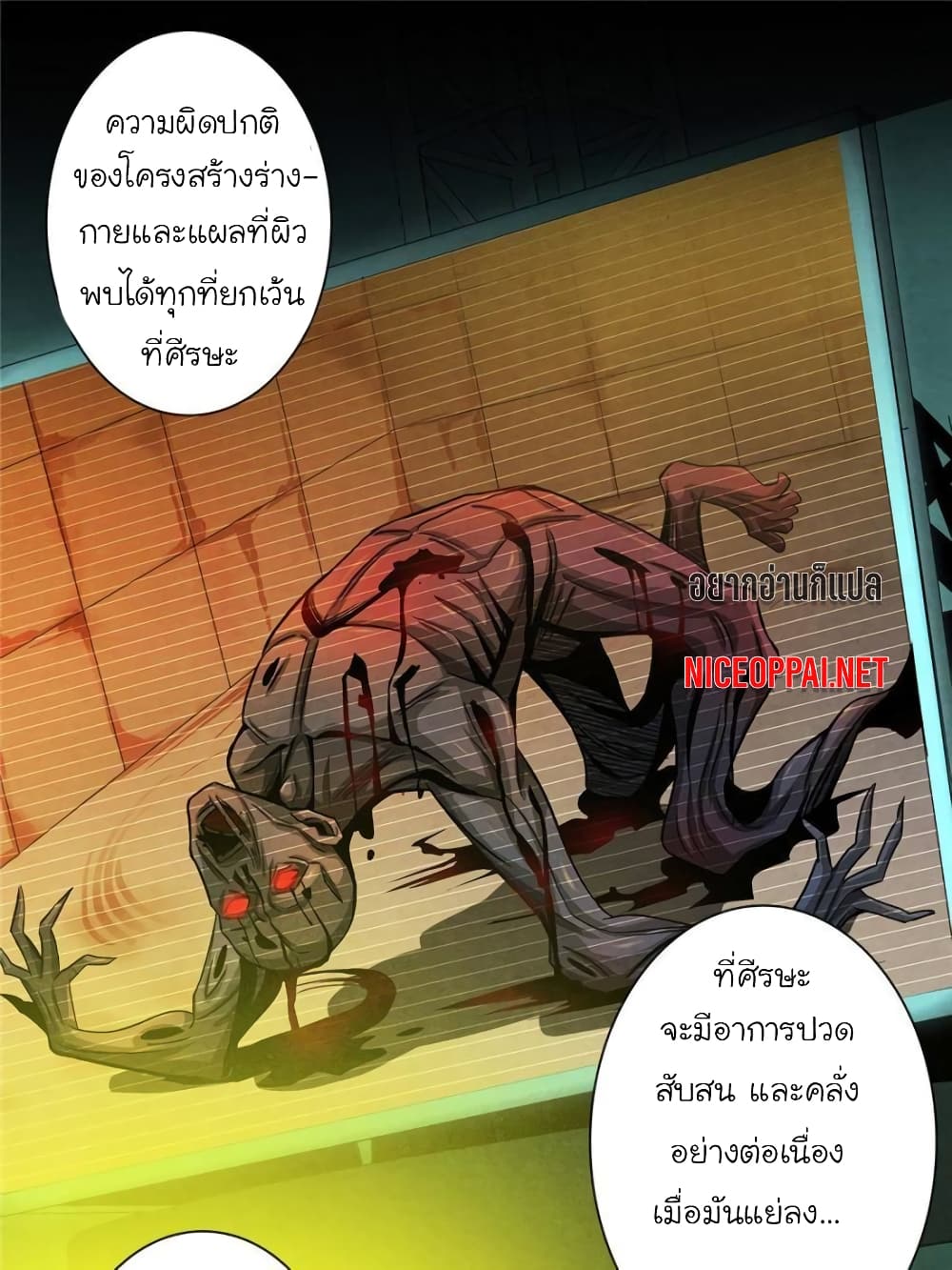 Dr.Don 19-19