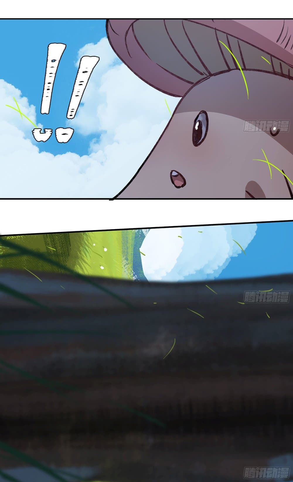 Mushroom Brave 13-13