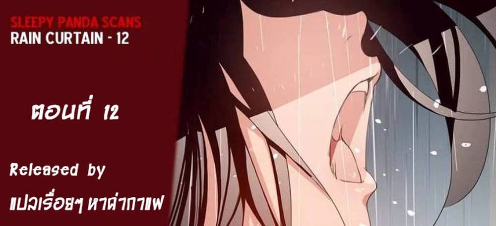 Rain Curtain 12-12