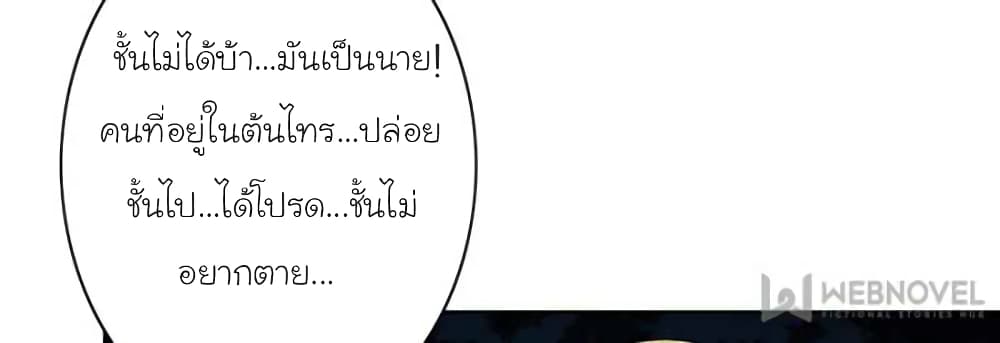Dr.Don 33-33