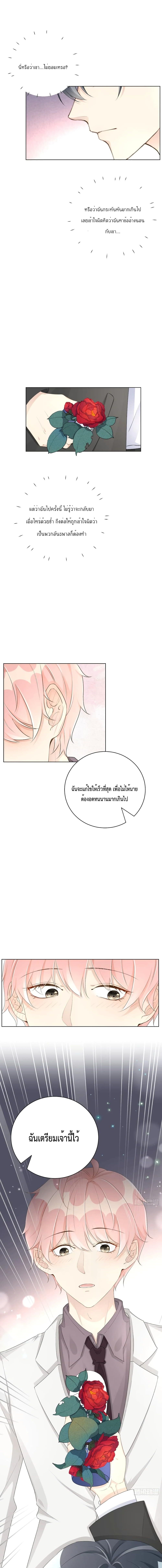 Top Plaything นายคือของเล่นของฉัน เพียงผู้เดียว 31-31