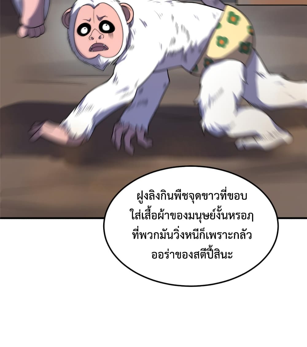 Monster Pet Evolution 145-145