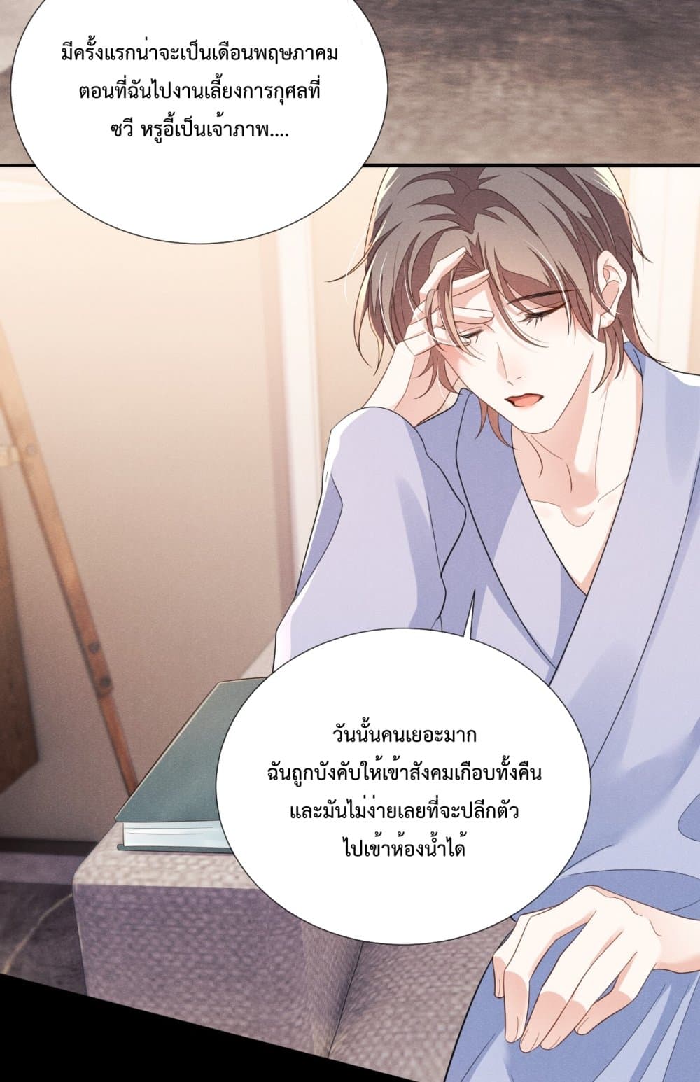 Fireworks เพลิงดอกไม้ 13-13