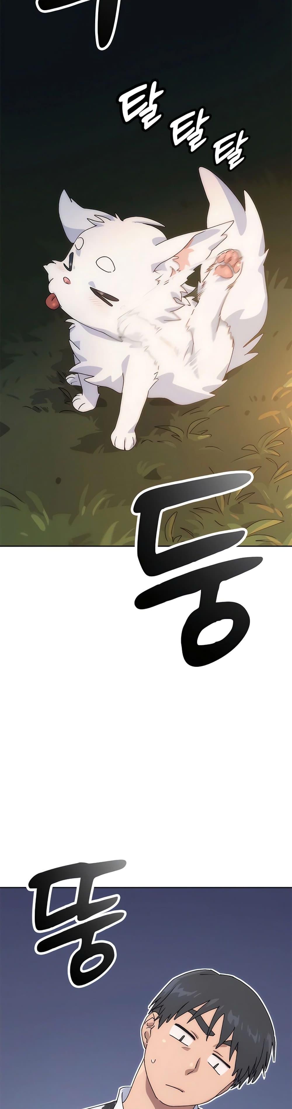 Healing Life Through Camping In Another World 1-1