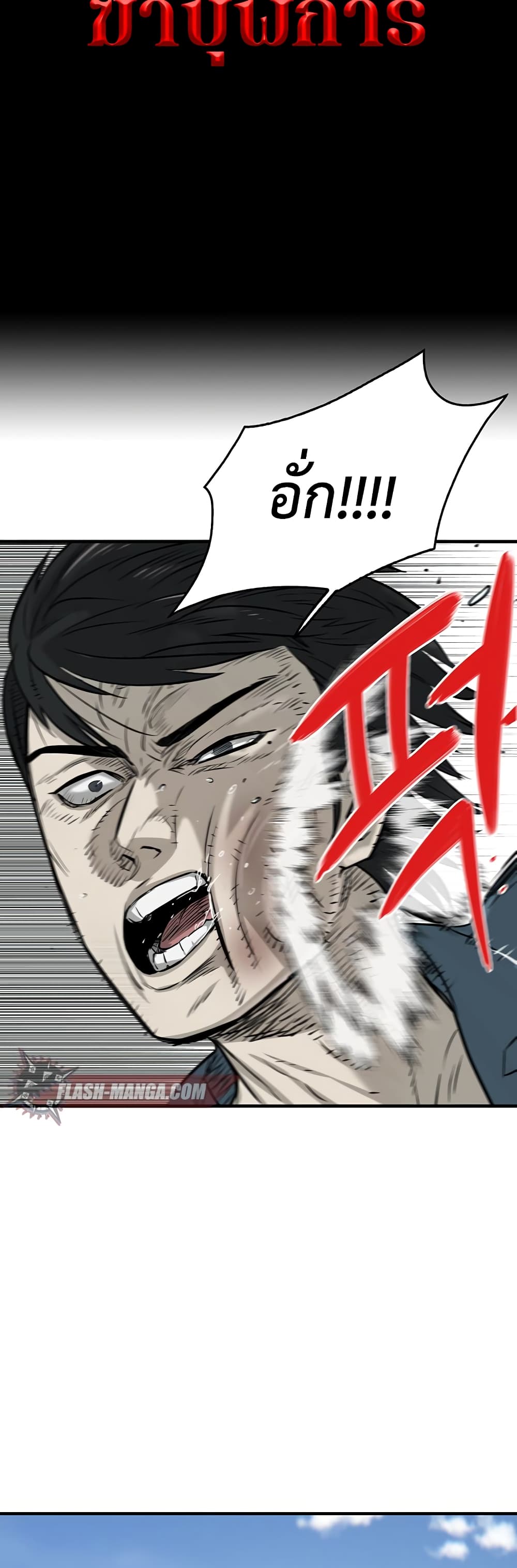 Mujin 1-1