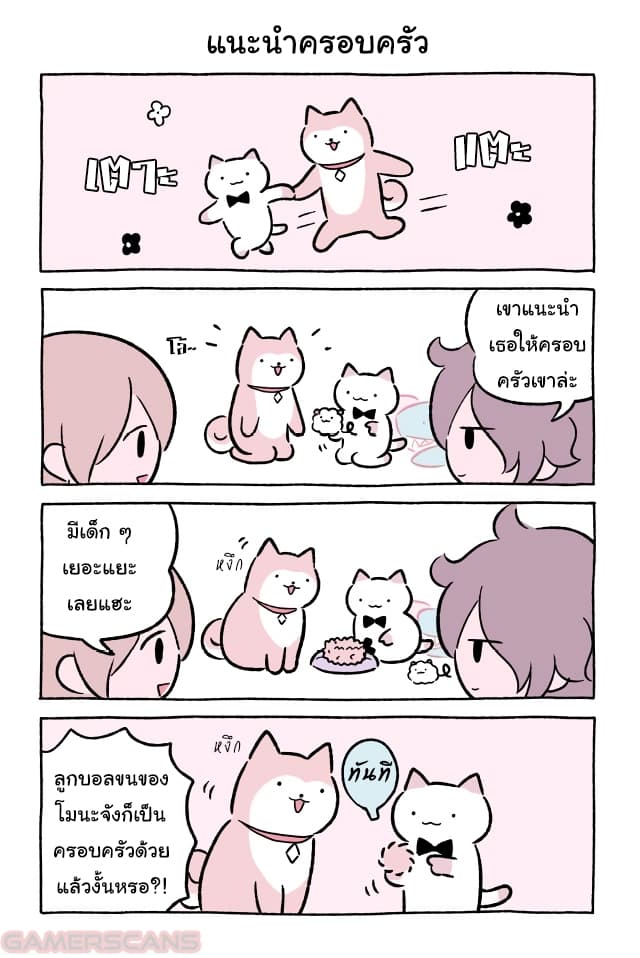 Wonder Cat Kyuu-chan คิวจัง แมวมหัศจรรย์ 48-48