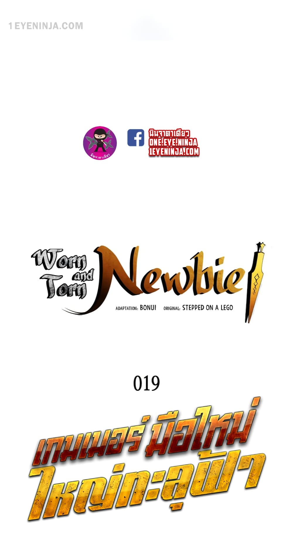 Worn and Torn Newbie 19-19