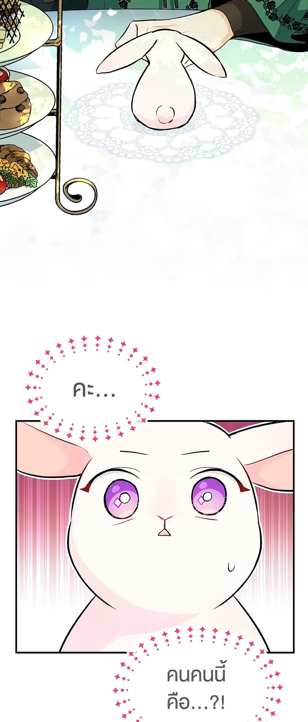 The Symbiotic Relationship Between a Panther and a Rabbit 5-5