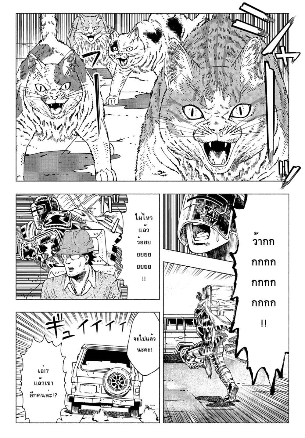 Nyaight of the Living Cat ซอมบี้เหมียวครองโลก! 7.3-Cat Max (ภาคปลาย)