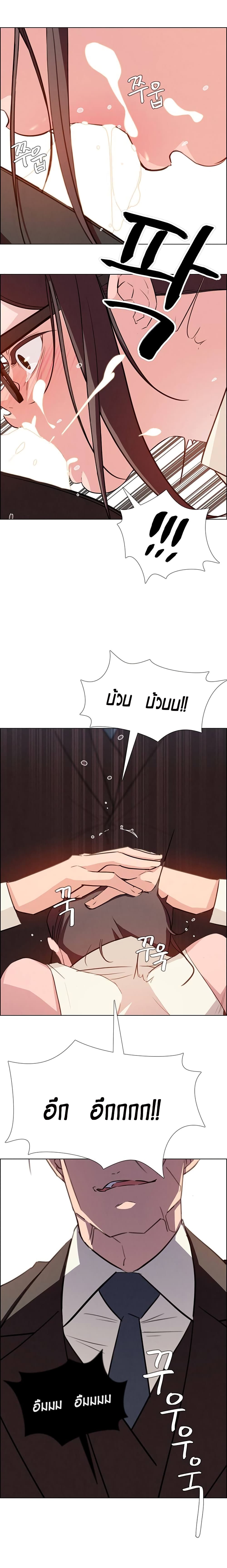 Rain Curtain 21-21