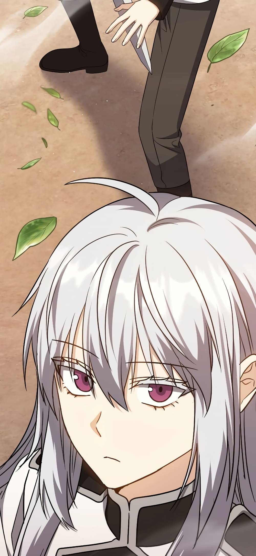 The Reincarnated Assassin is a Genius Swordsman 30-30