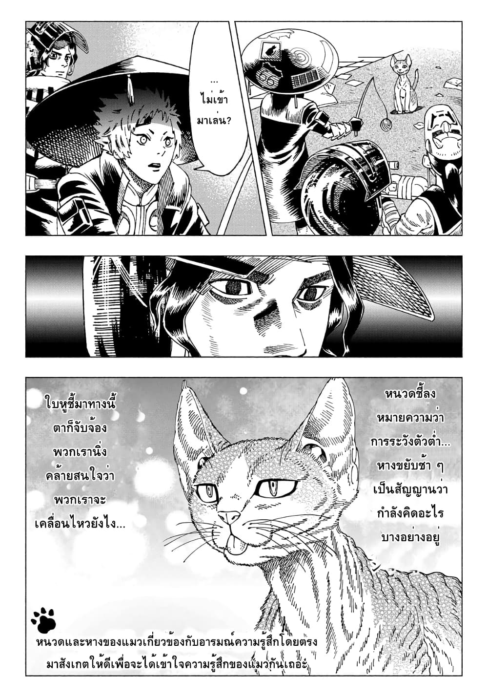 Nyaight of the Living Cat ซอมบี้เหมียวครองโลก! 9.1-แมว D-rex จากดาวเคราะห์