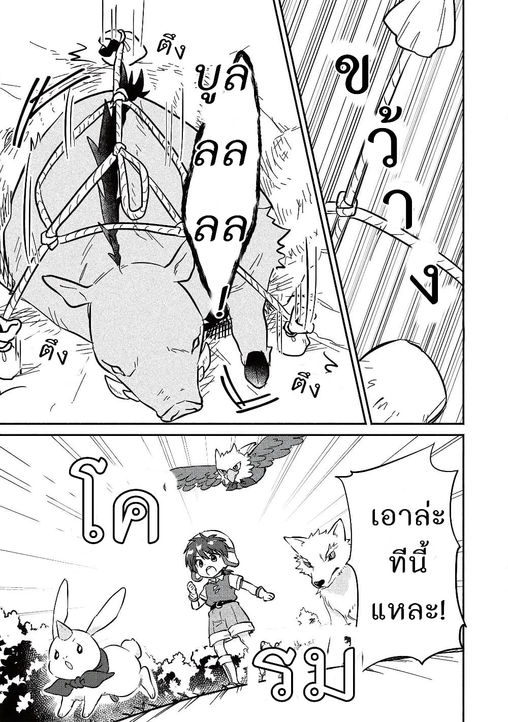 Kojiin Tamer 13-13