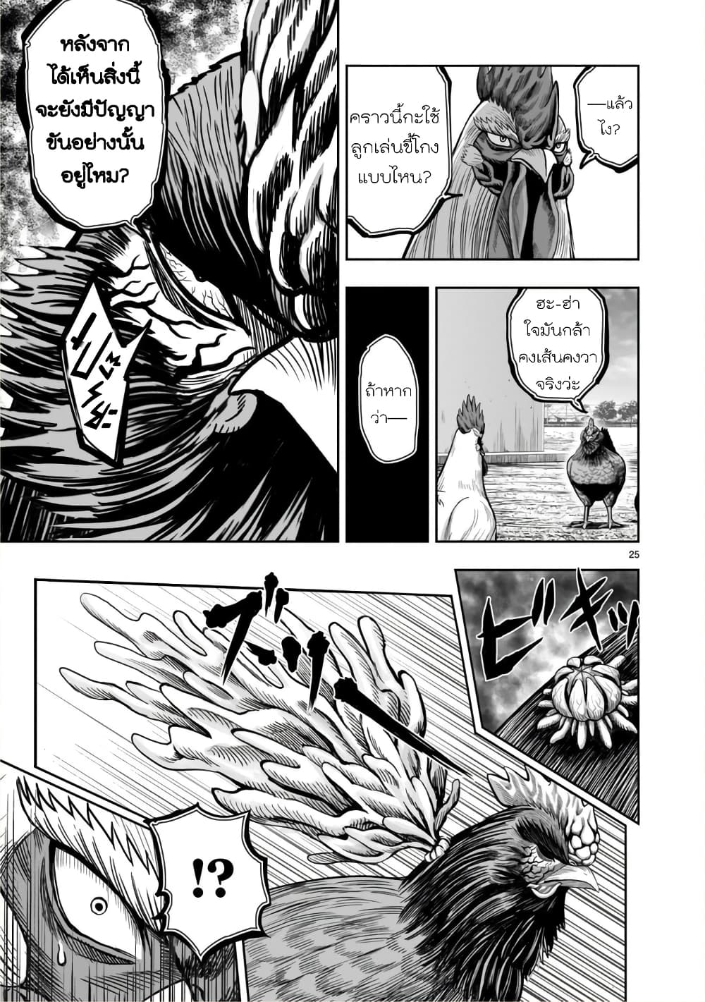 Rooster Fighter ป๋าโต้งชนยับ 11-พอล่าไก่เสร็จ ธนูก็สิ้นค่า (คนที่คอยโหมงาน กลับถูกทิ้งในตอนจบ