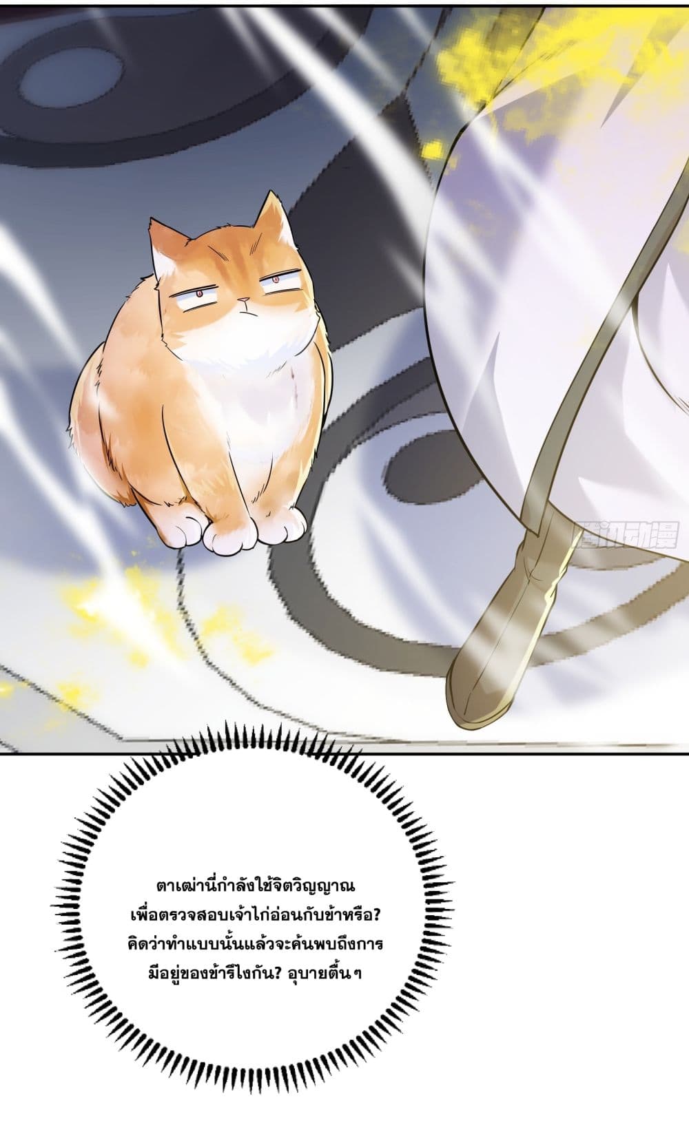 God-level Contract Start With a Cat 3-3