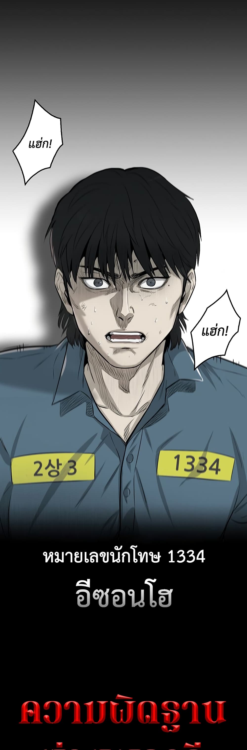 Mujin 1-1