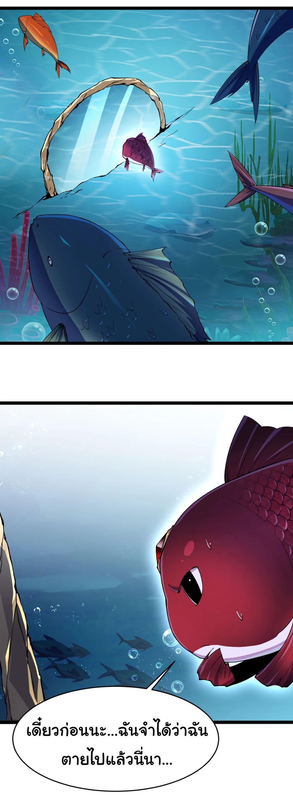 Start evolution from koi to dragon 1-1
