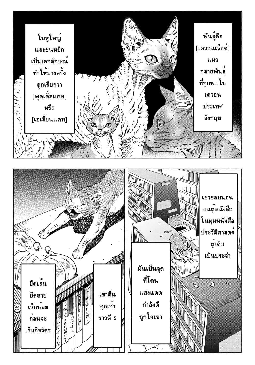Nyaight of the Living Cat ซอมบี้เหมียวครองโลก! 9.1-แมว D-rex จากดาวเคราะห์