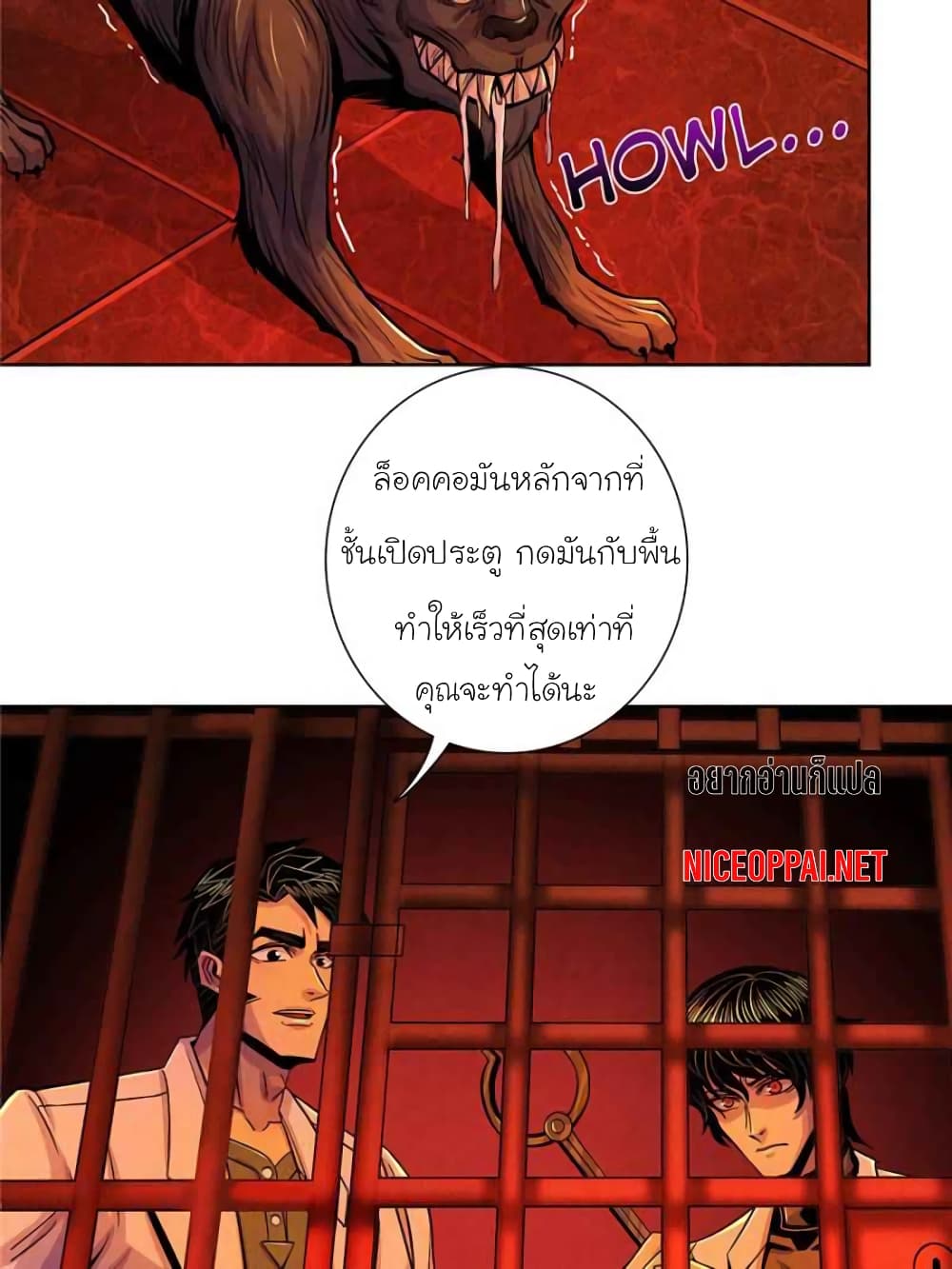 Dr.Don 31-31