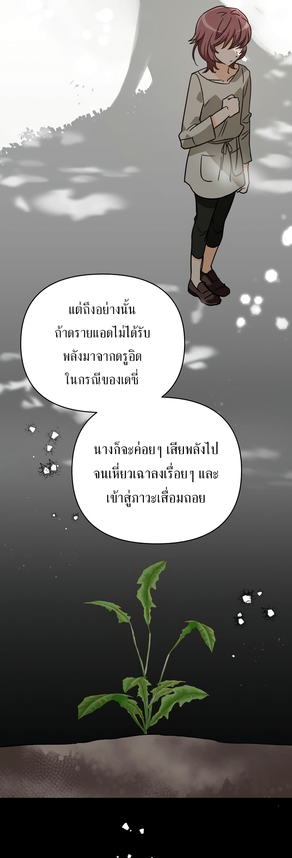 Terrarium Adventure 12-12