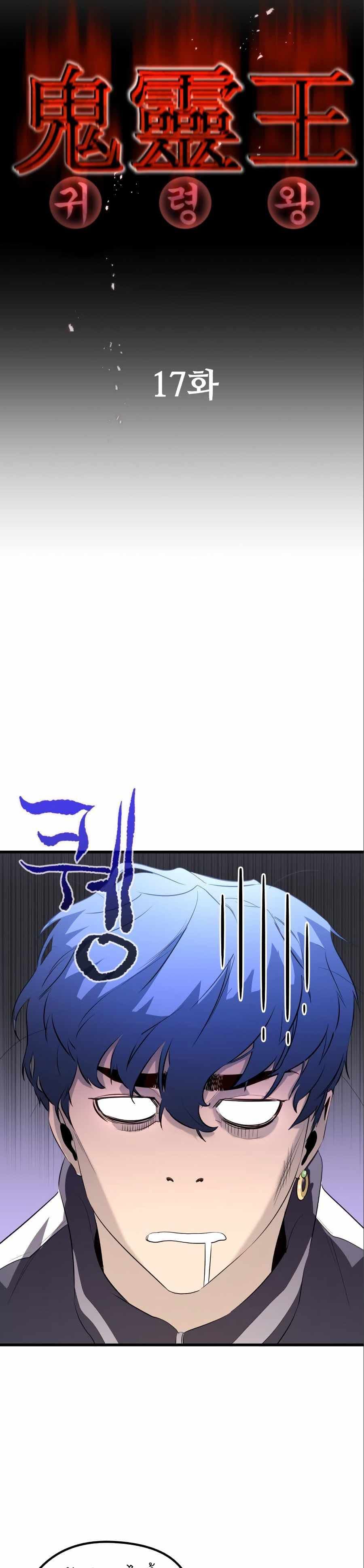 Phantom Spirit King 17-17