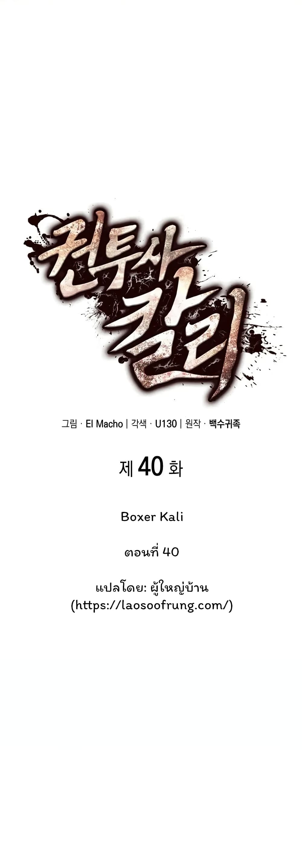 Boxer Kali 40-40