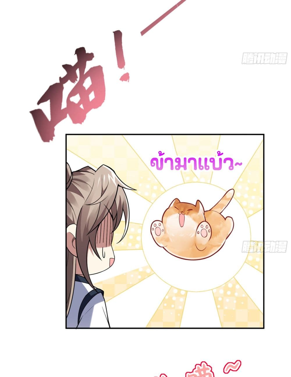 God-level Contract Start With a Cat 2-2
