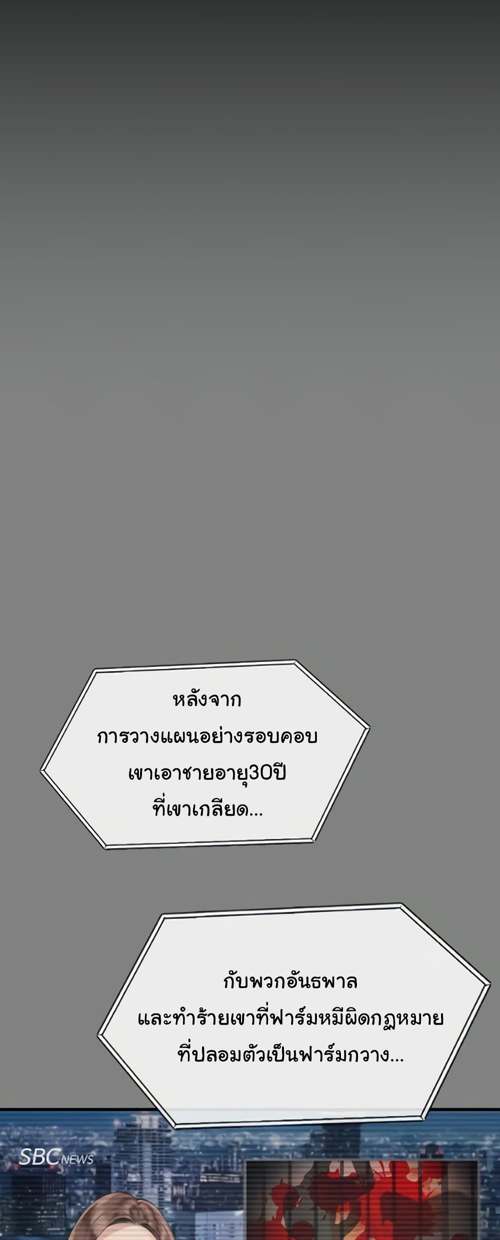 Queen Bee 324-324