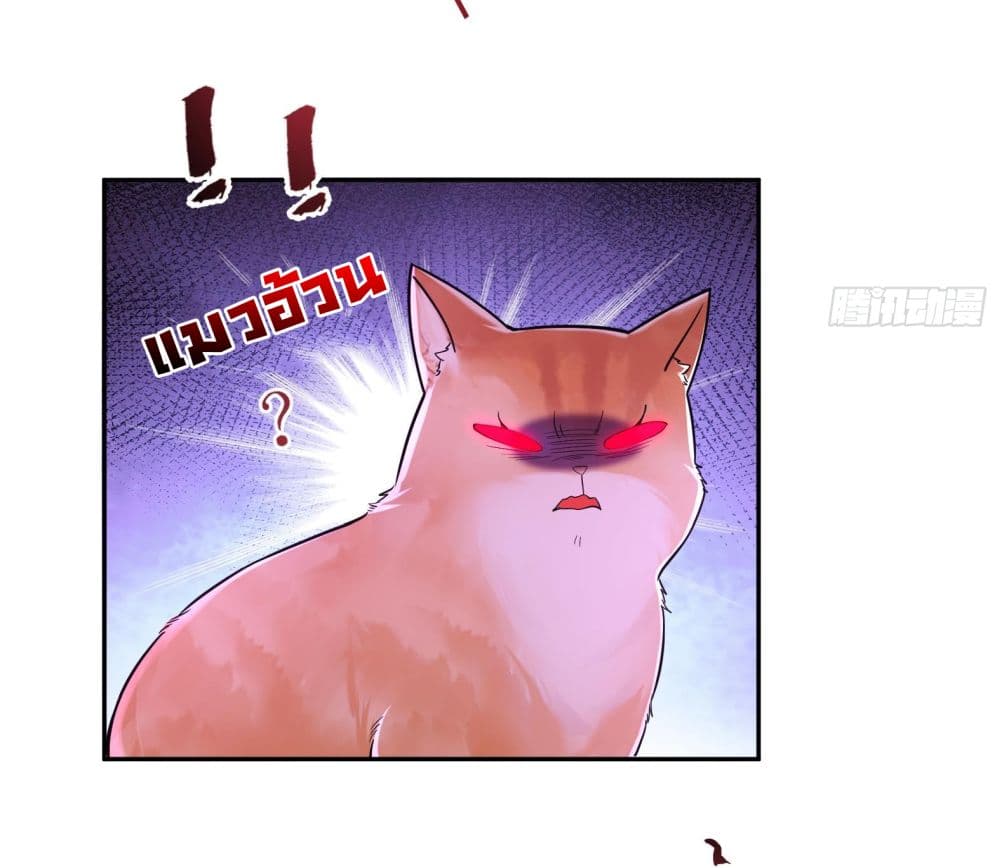 God-level Contract Start With a Cat 2-2