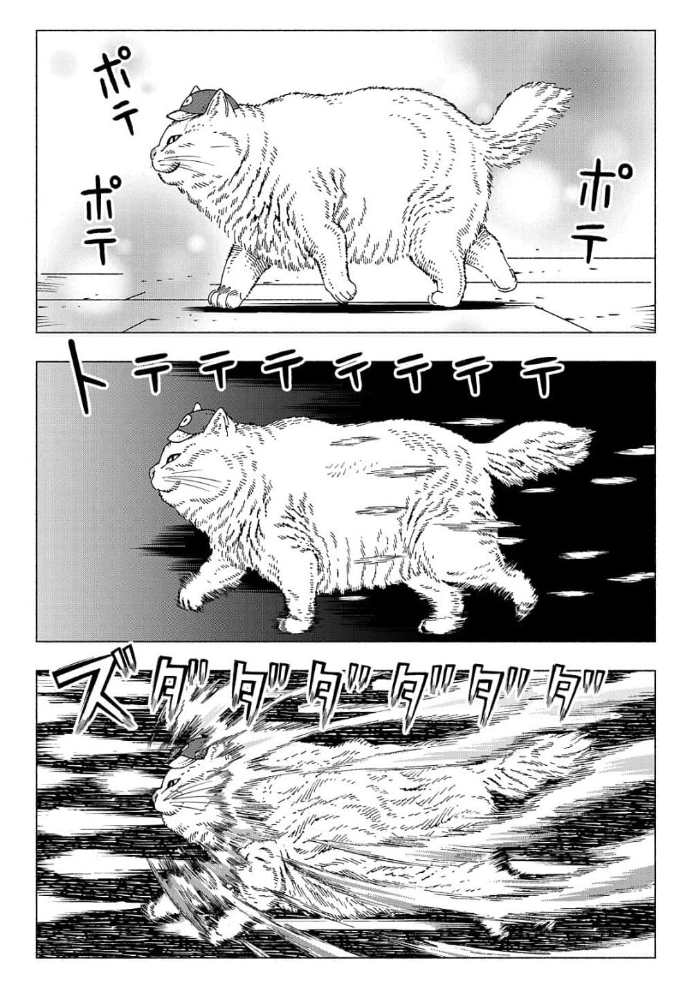 Nyaight of the Living Cat ซอมบี้เหมียวครองโลก! 8.2-Cat Rising (ภาคกลาง)