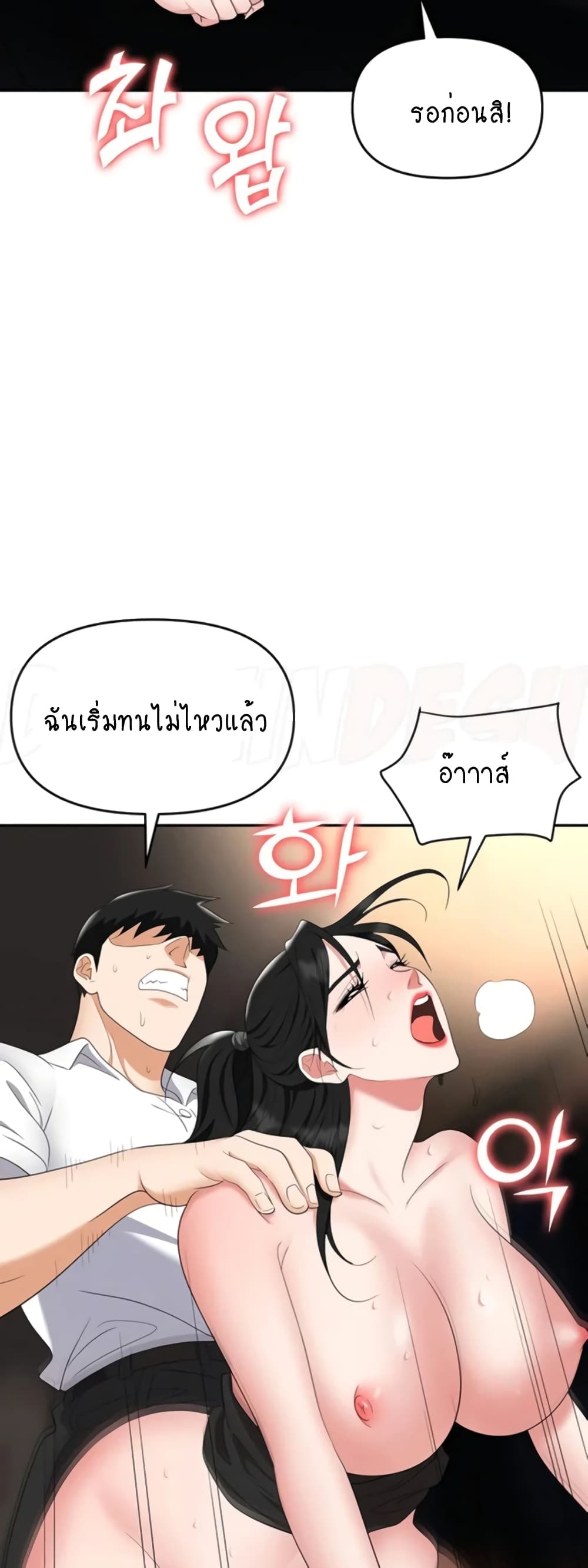Trap 47-47
