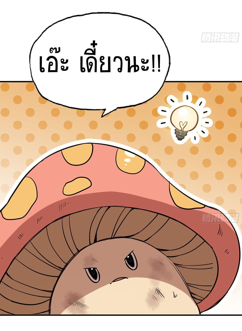 Mushroom Brave 16-16