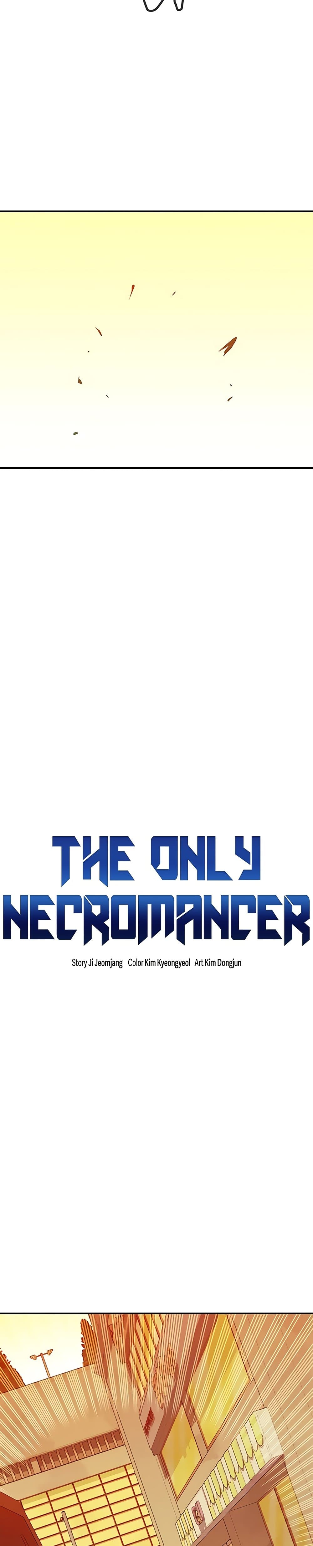 The Lone Necromancer 43-43