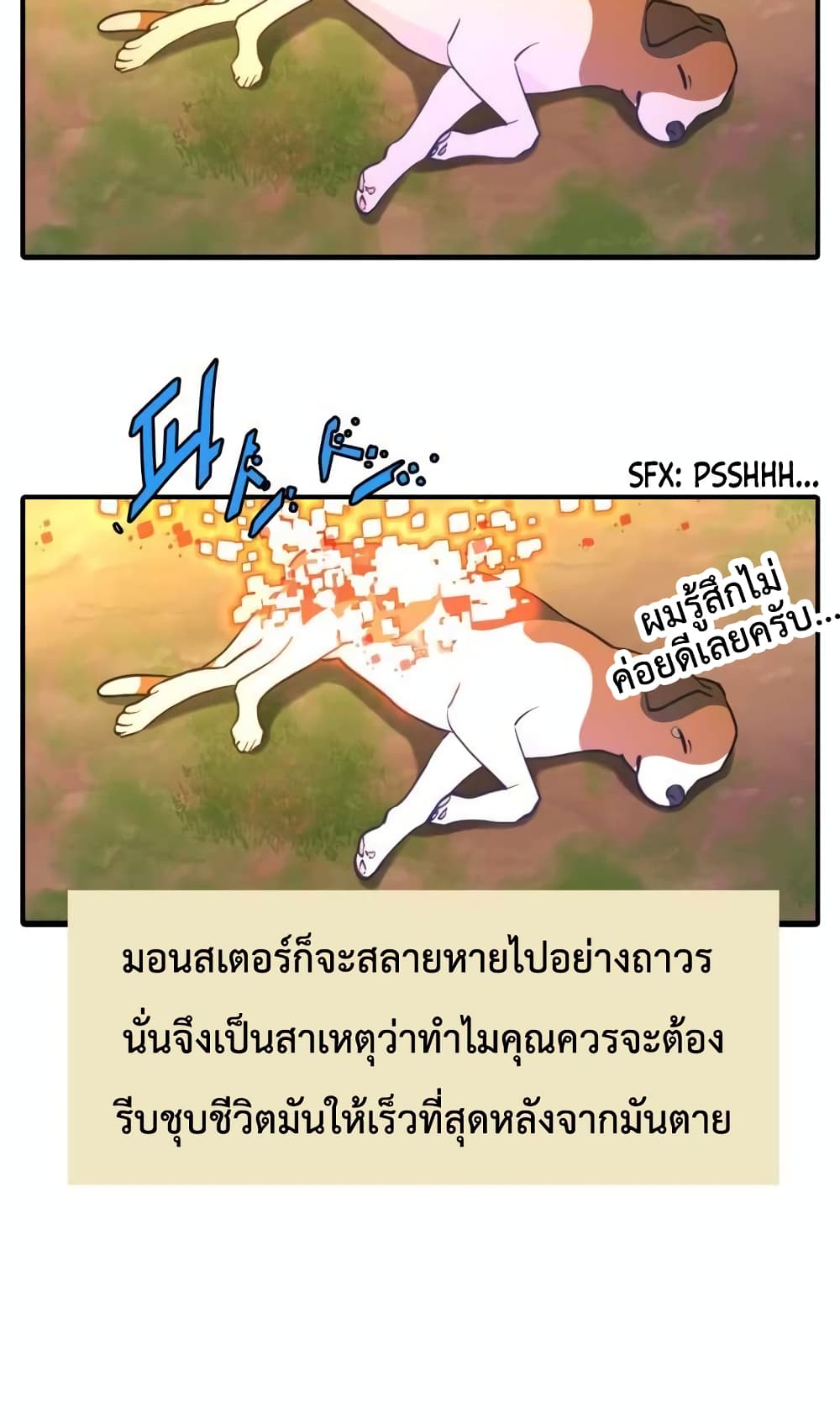Max Level Knight อัศวินเลเวลแม๊ก 9-9