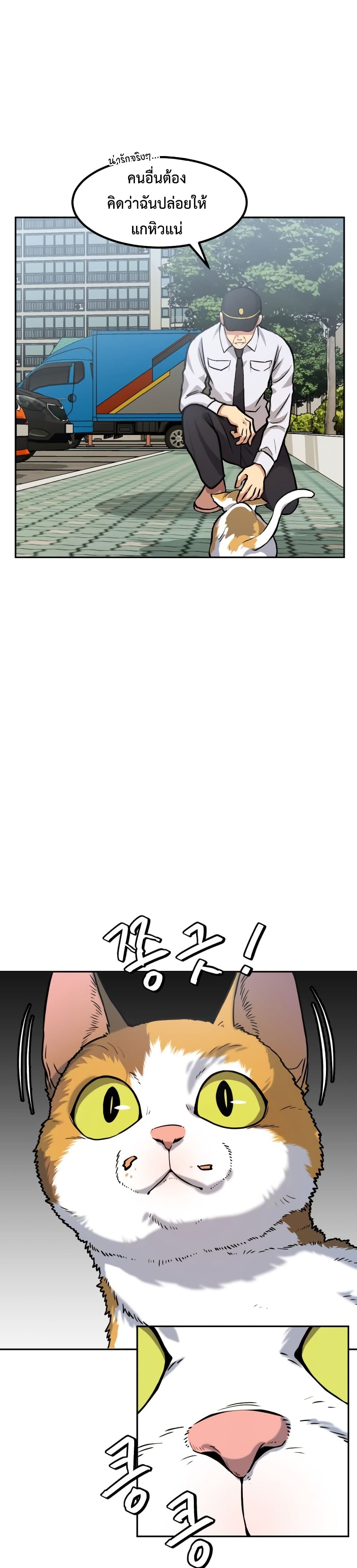 Monsters 5-5