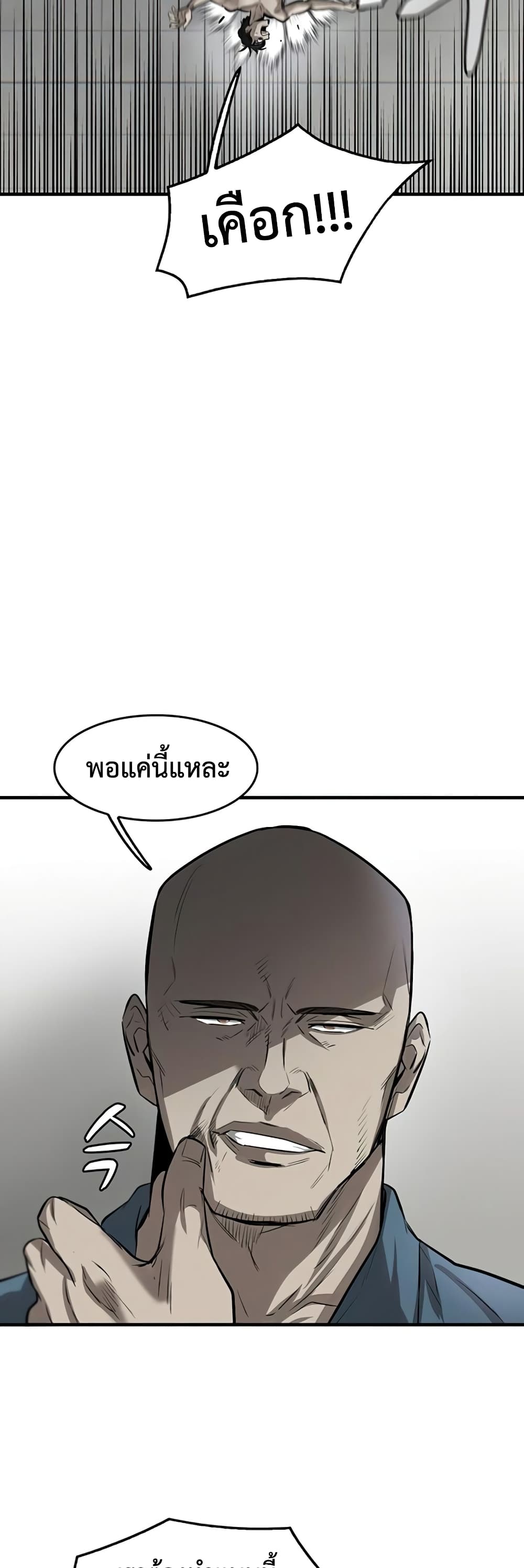 Mujin 3-3